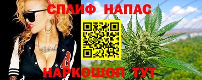 прущие грибы Дубна