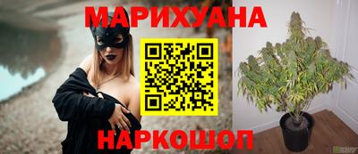 прущие грибы Дубна