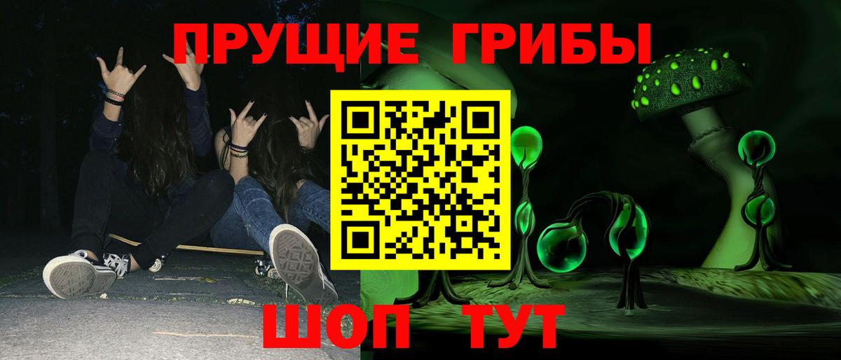 Галлюциногенные грибы Cubensis Лесосибирск